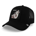 Gorra Goorin Bros The Lone Wolf Negro Unitalla